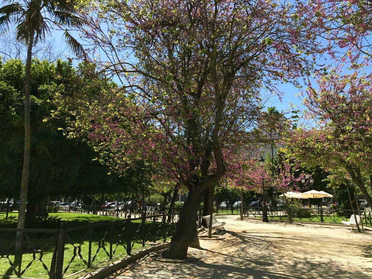 El Patio Apartman Cádiz Kültér fotó